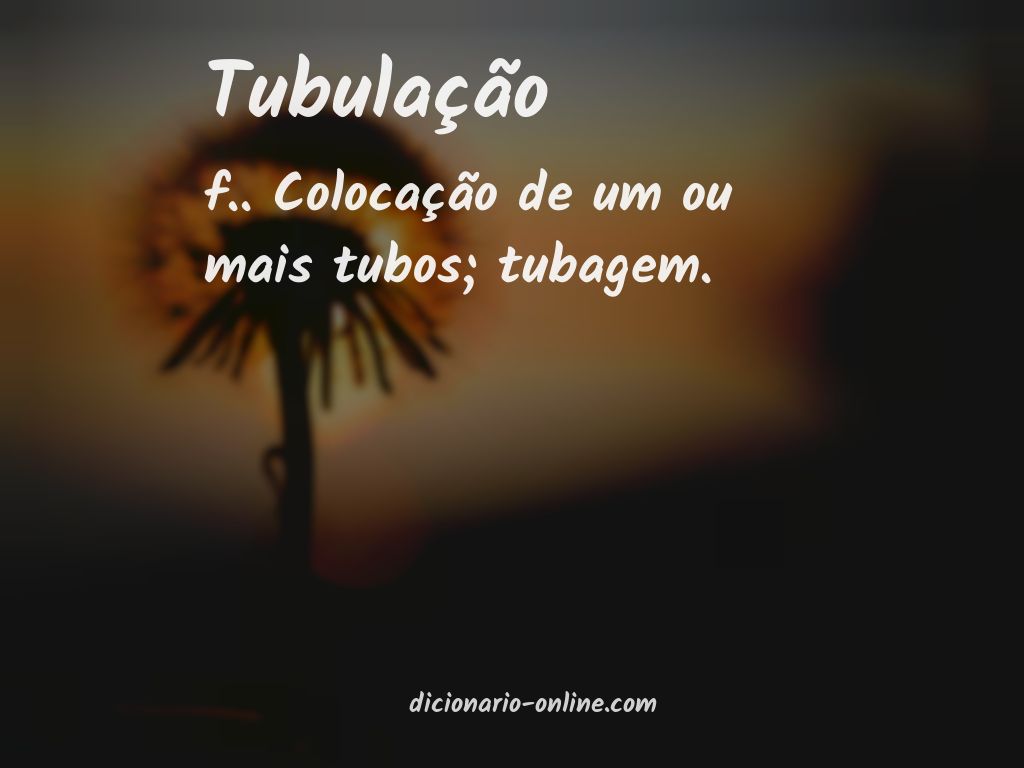 Significado de tubulação