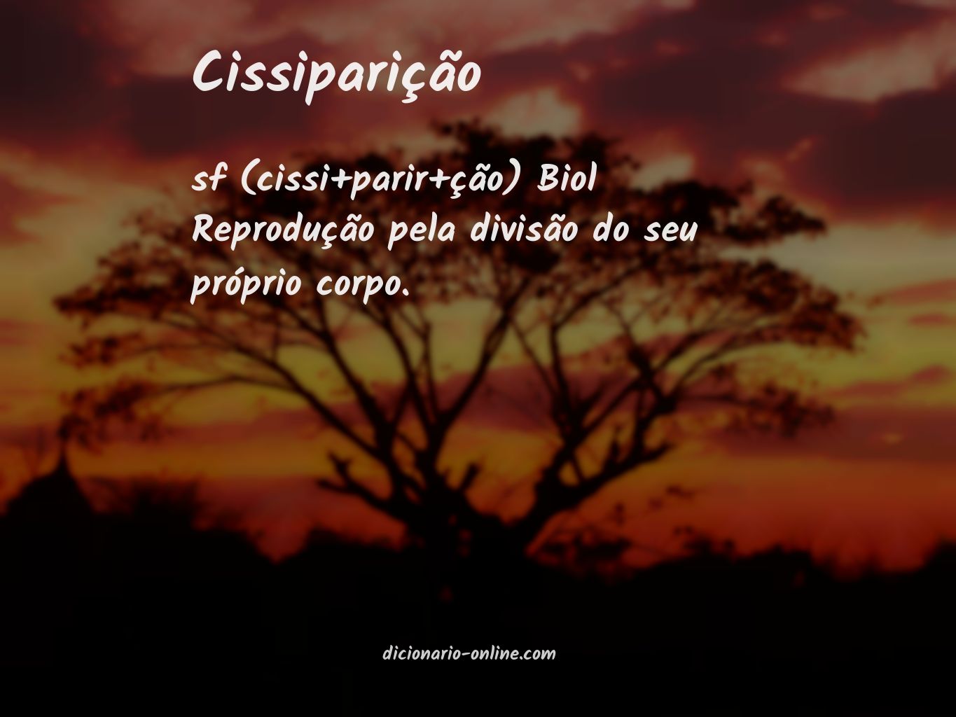 Significado de cissiparição