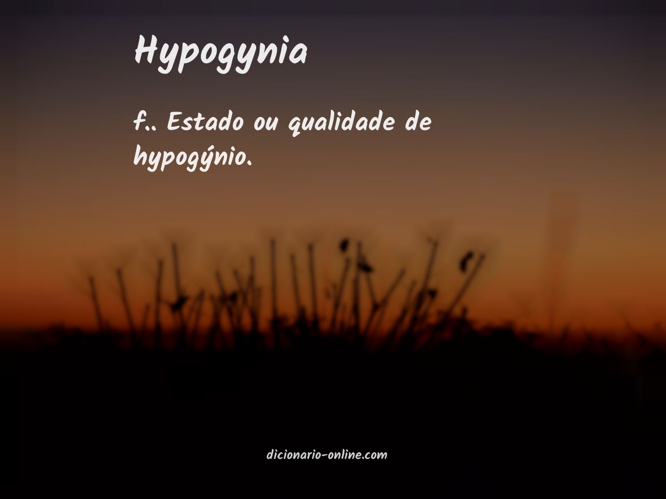 Significado de hypogynia