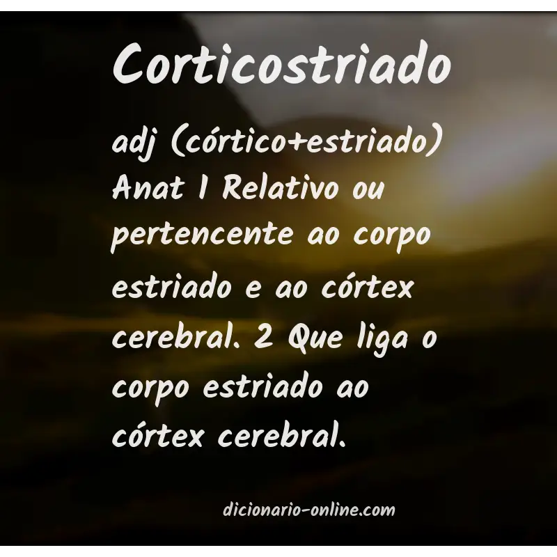 Significado de corticostriado