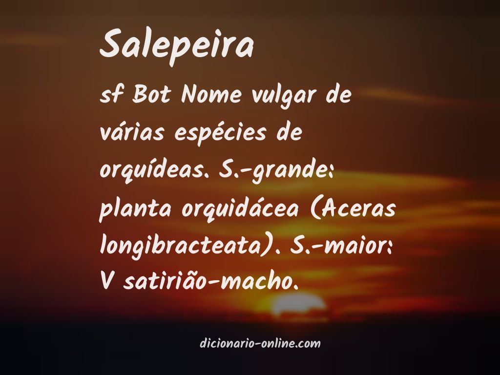 Significado de salepeira