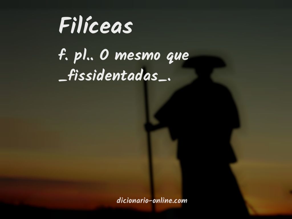 Significado de filíceas