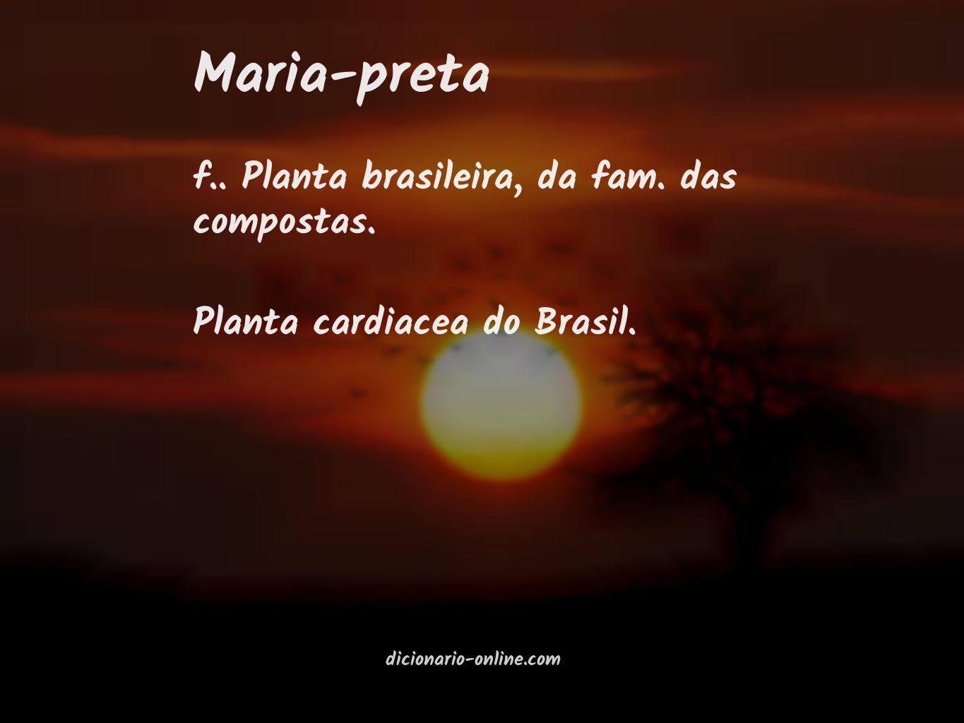 Significado de maria-preta