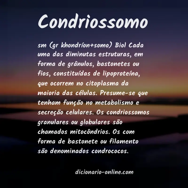 Significado de condriossomo