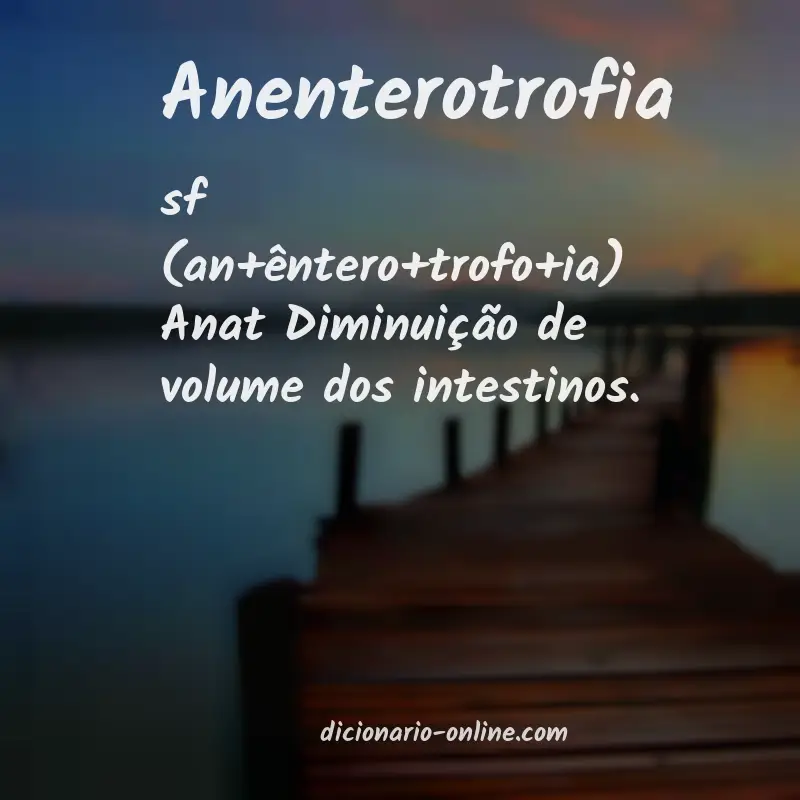 Significado de anenterotrofia