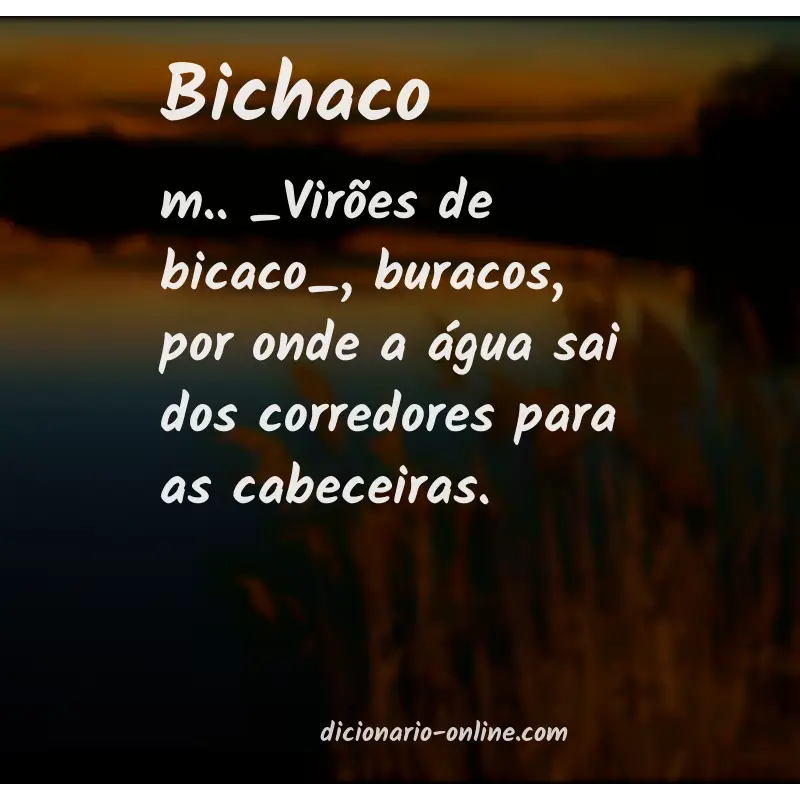 Significado de bichaco