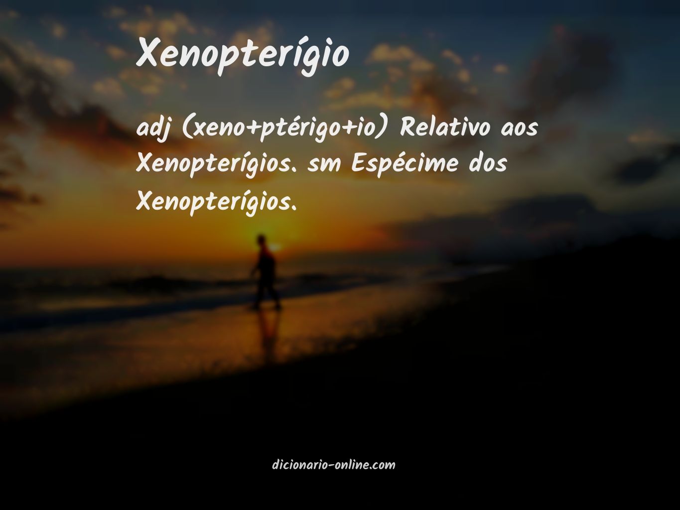 Significado de xenopterígio