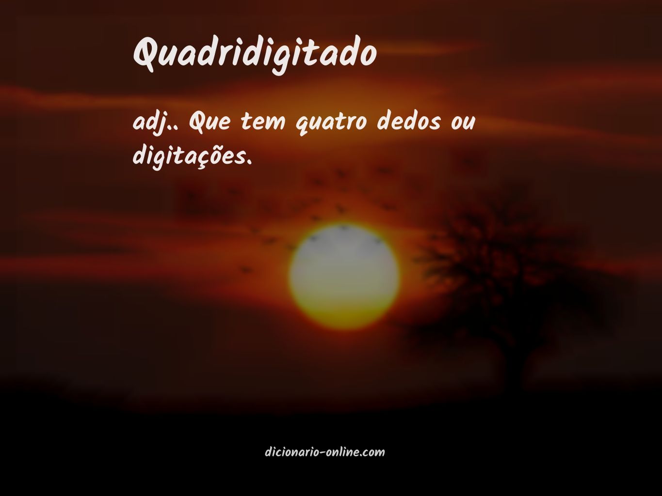 Significado de quadridigitado