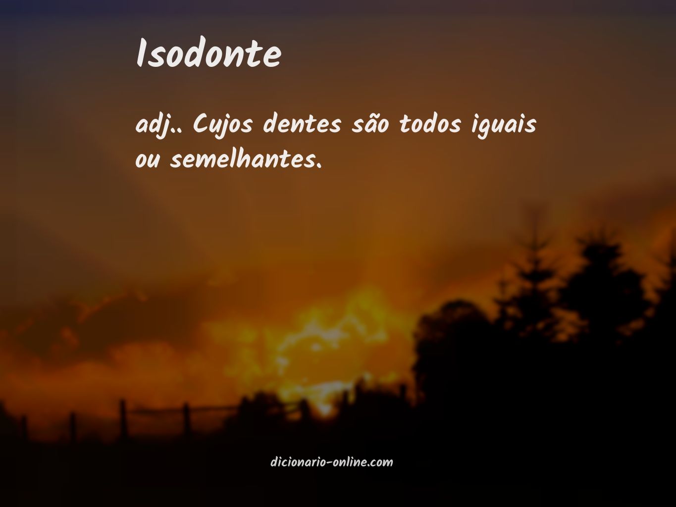 Significado de isodonte