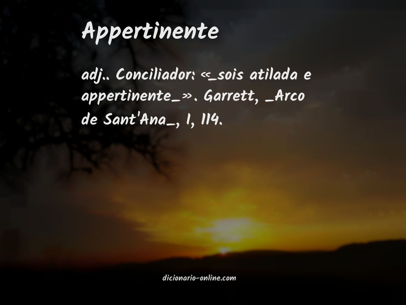 Significado de appertinente