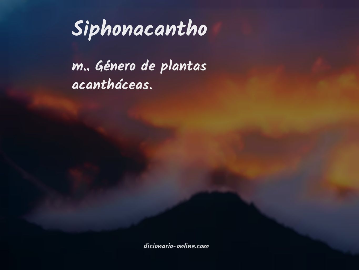 Significado de siphonacantho