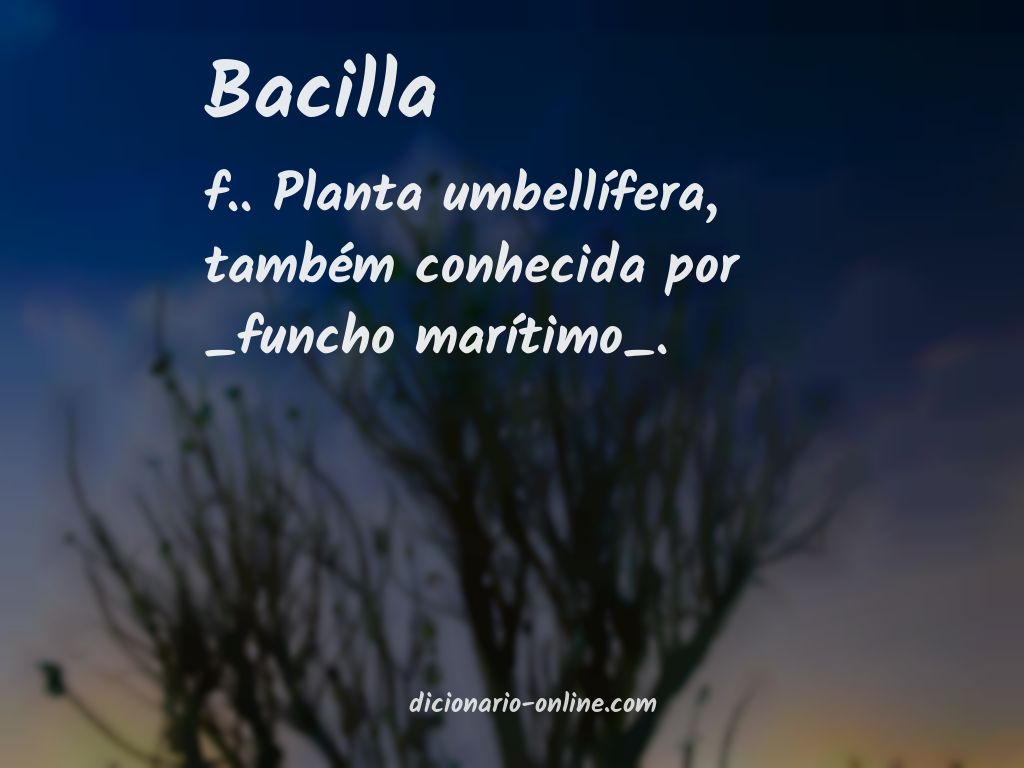 Significado de bacilla