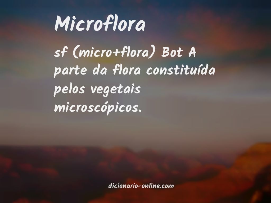 Significado de microflora