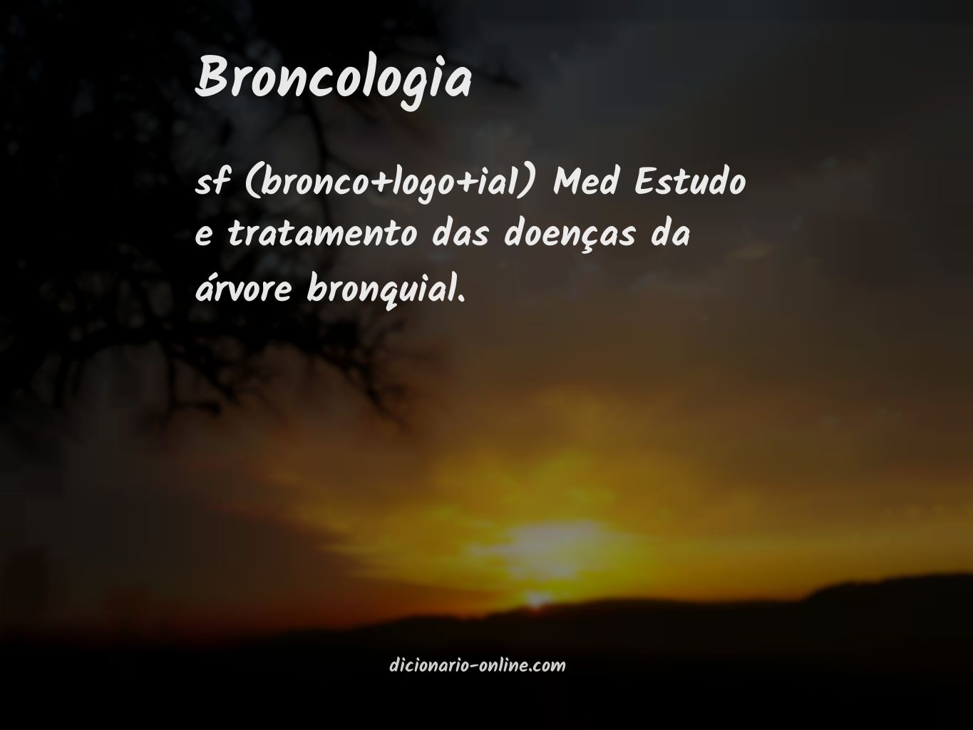 Significado de broncologia