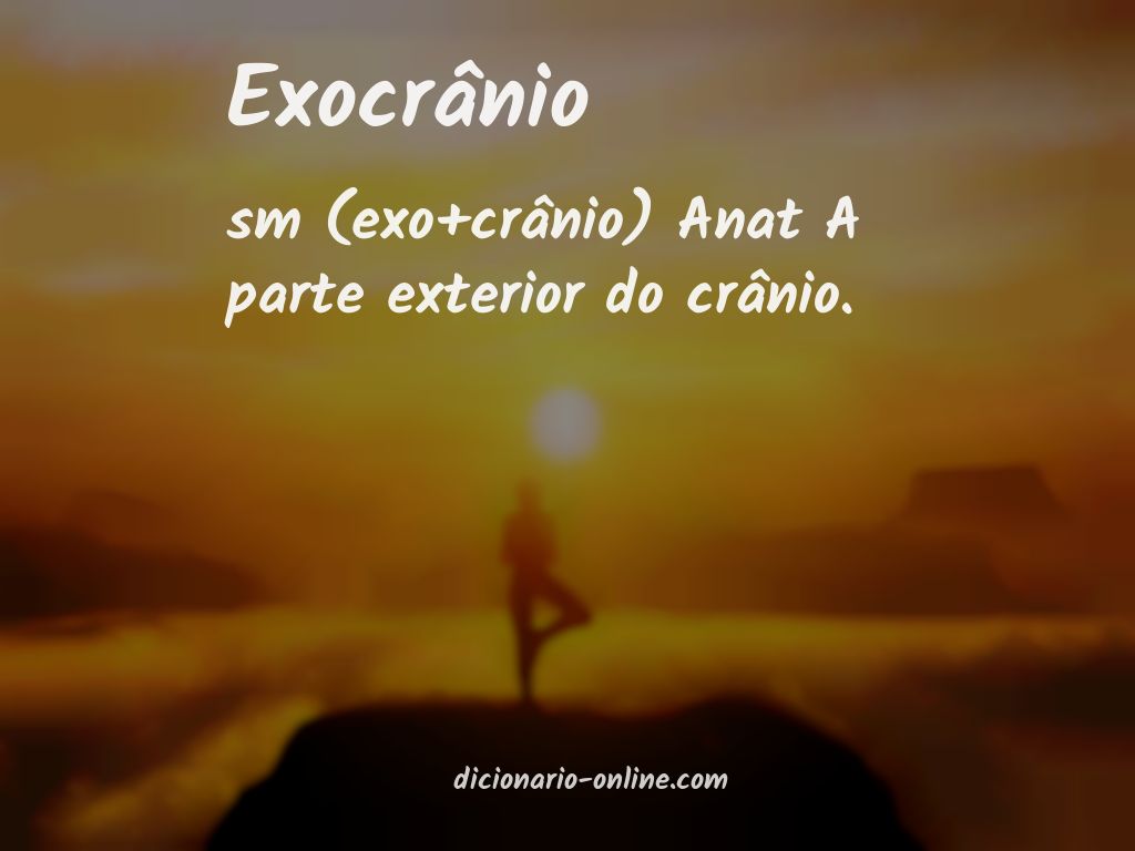 Significado de exocrânio