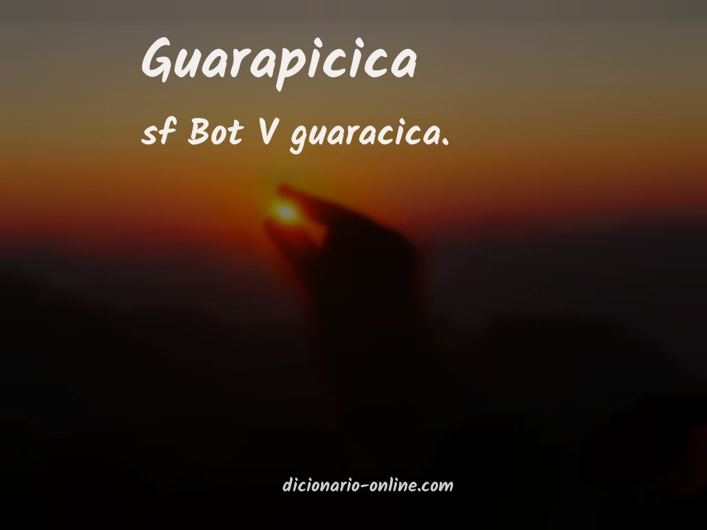 Significado de guarapicica