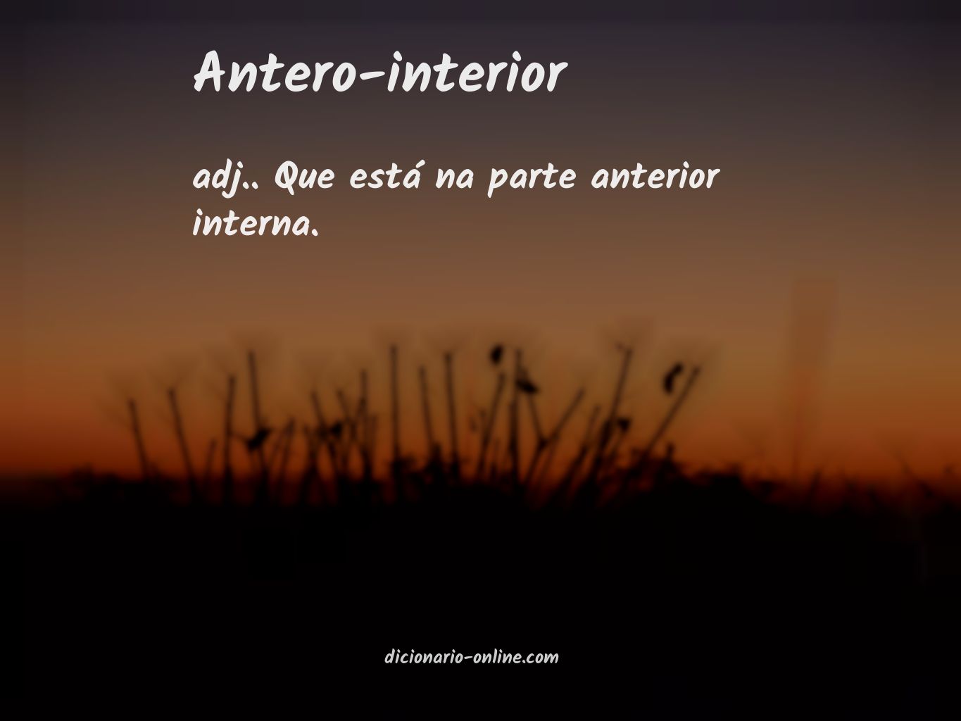 Significado de antero-interior