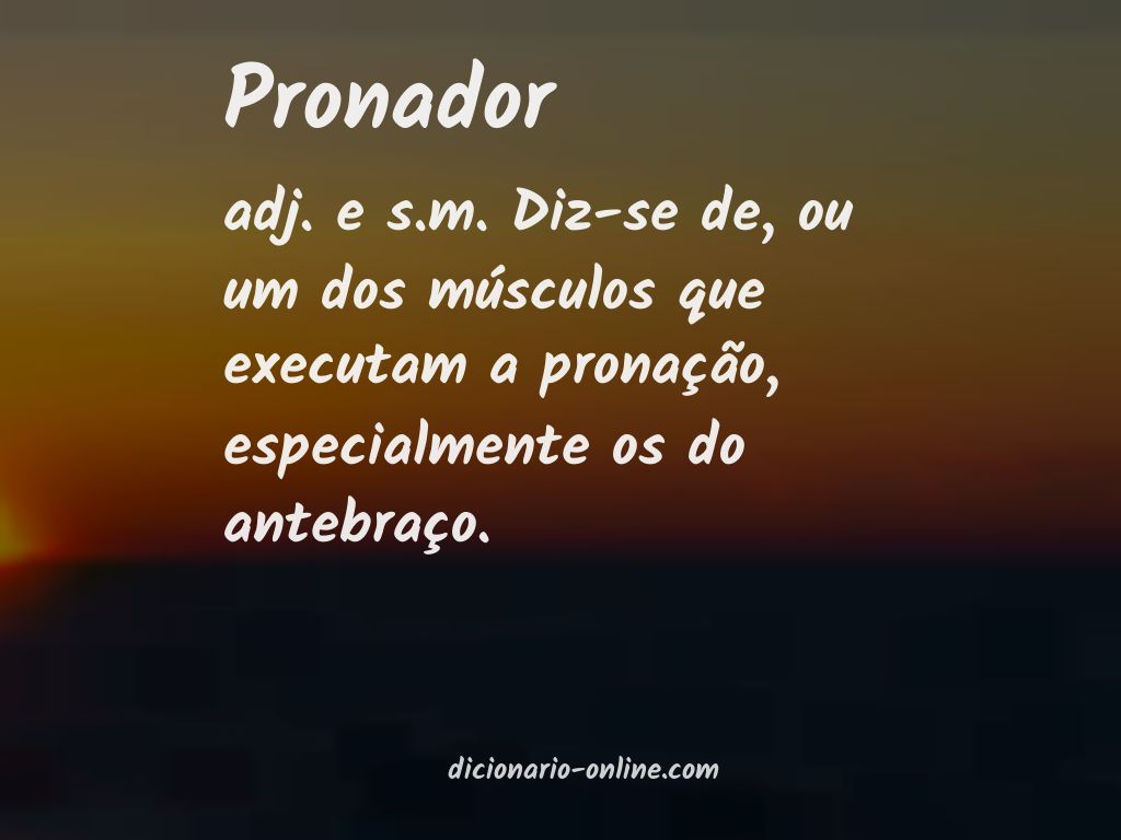 Significado de pronador