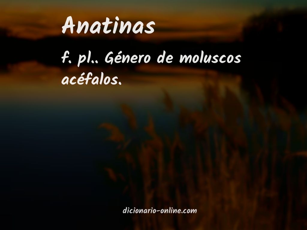 Significado de anatinas