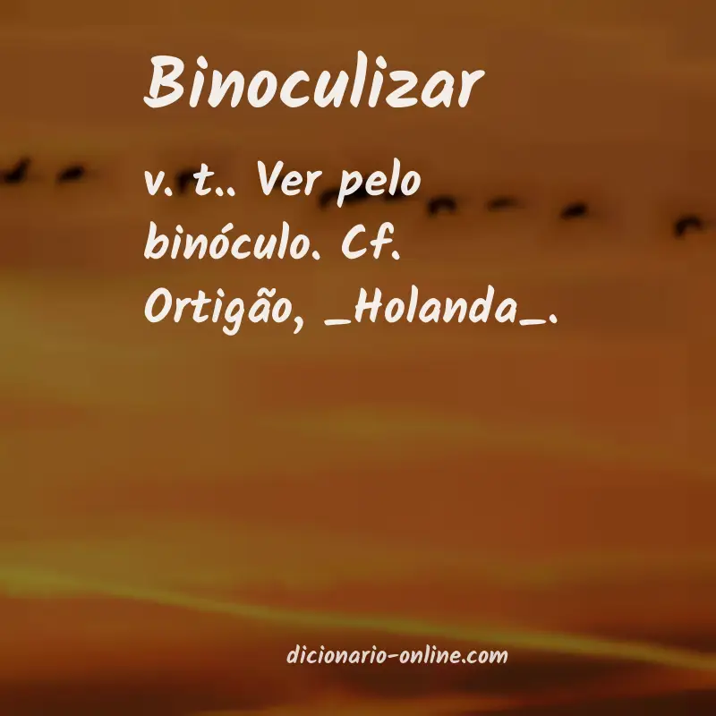 Significado de binoculizar