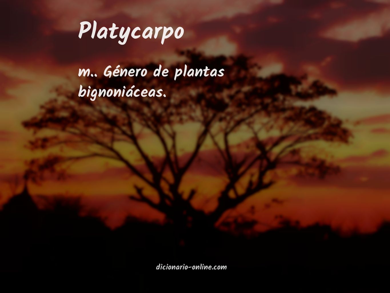 Significado de platycarpo