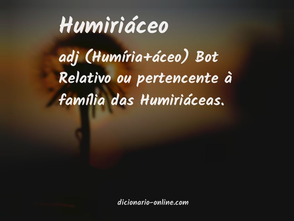 Significado de humiriáceo