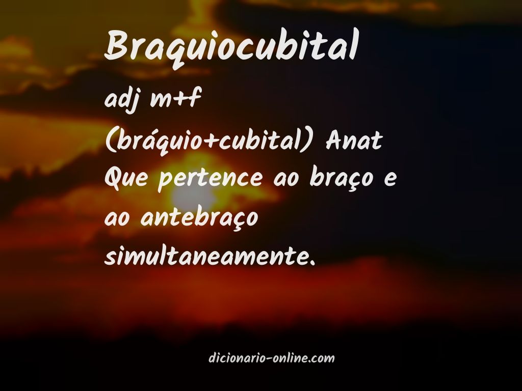 Significado de braquiocubital