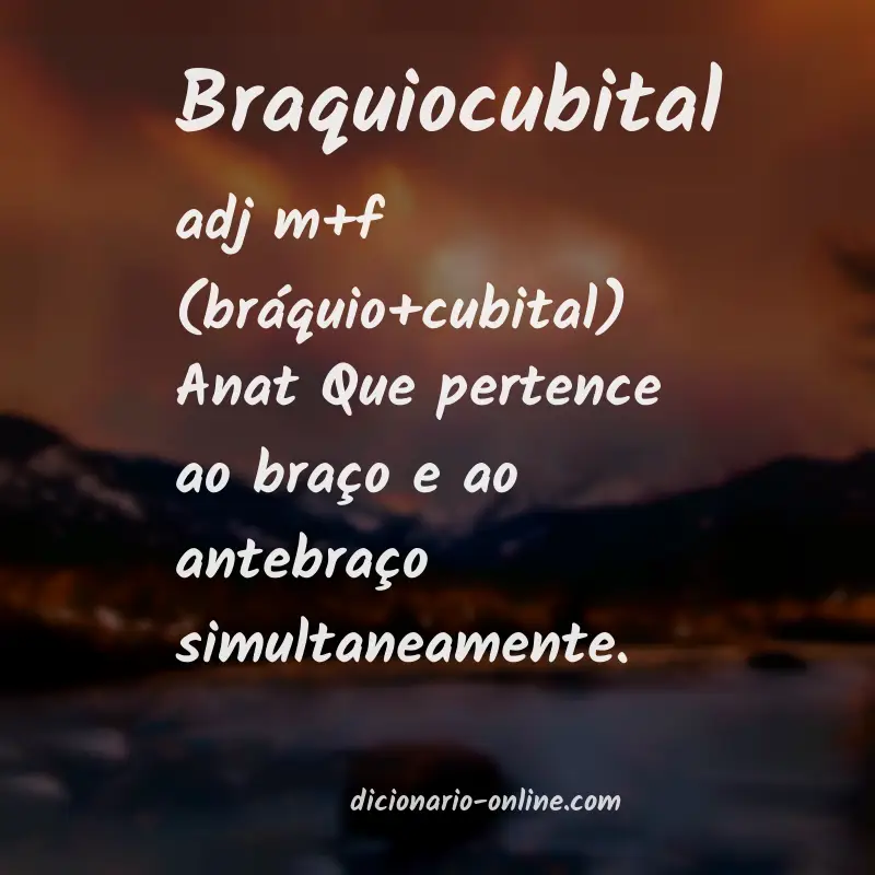 Significado de braquiocubital