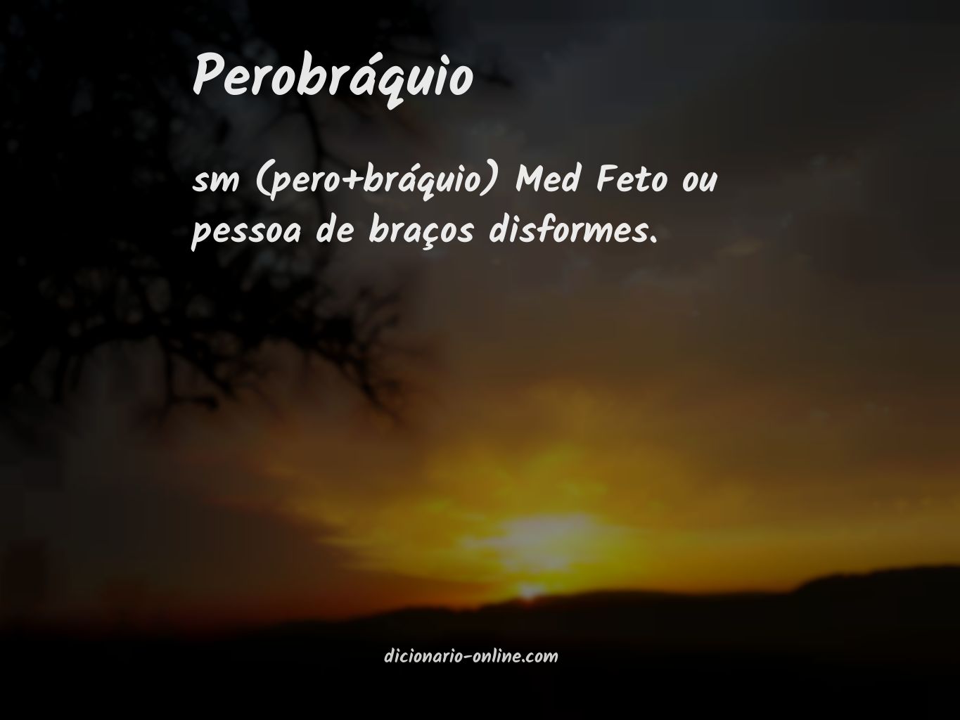 Significado de perobráquio