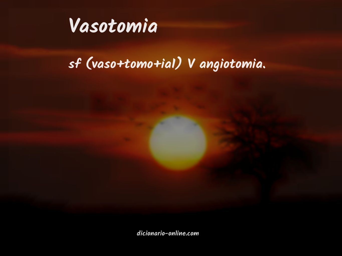 Significado de vasotomia