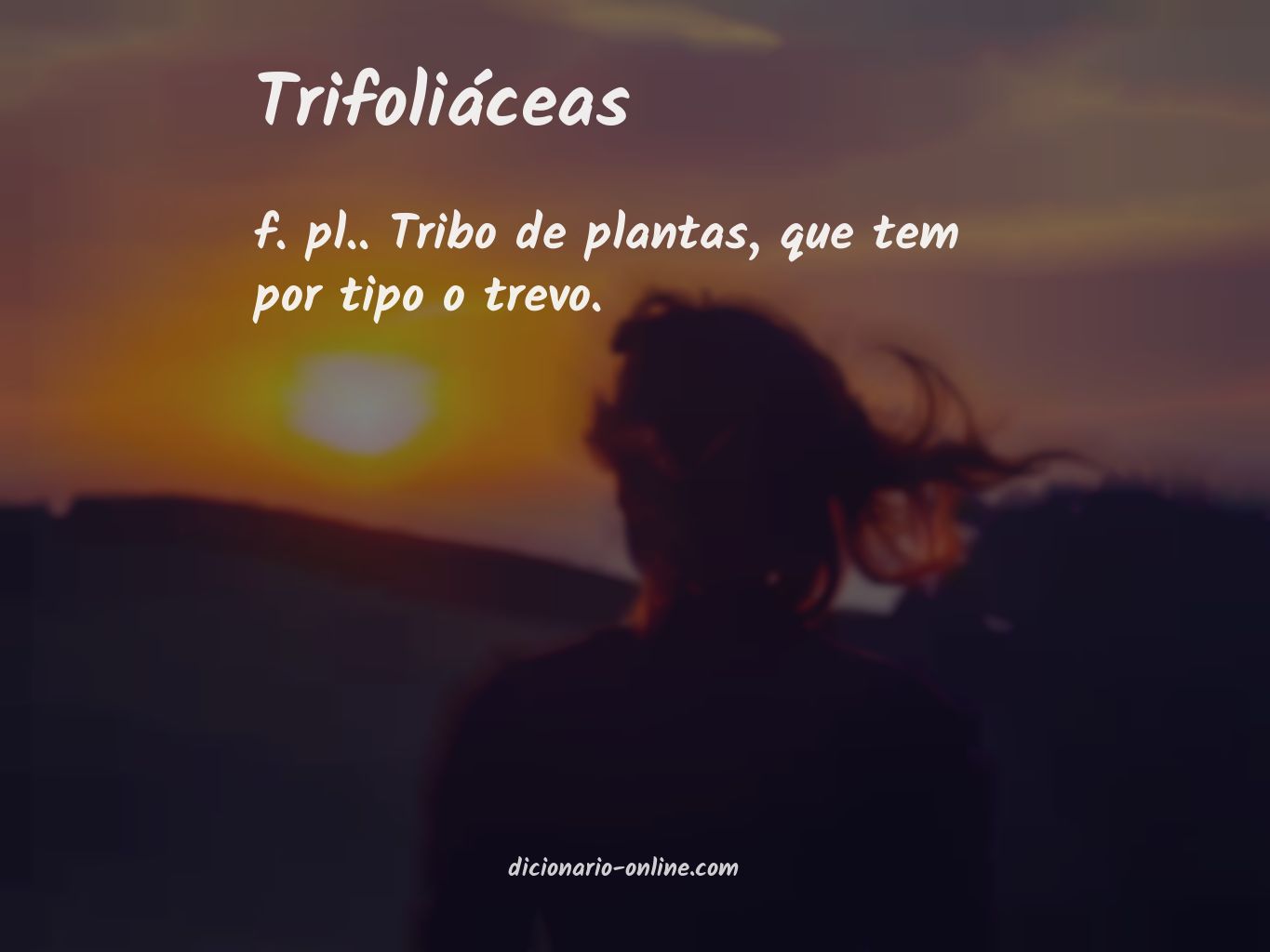 Significado de trifoliáceas