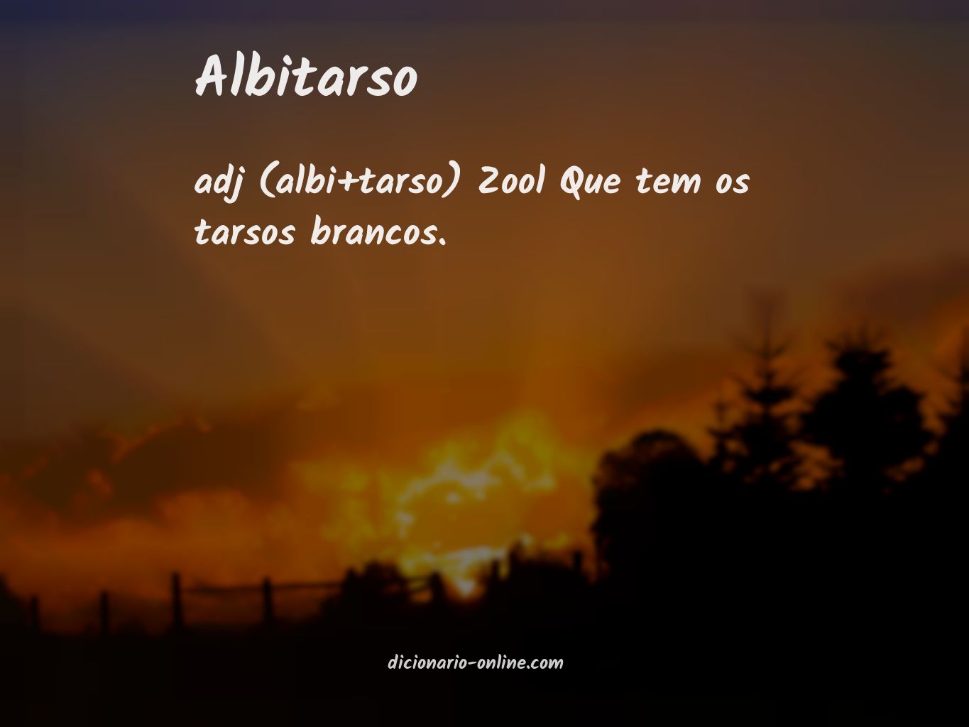 Significado de albitarso