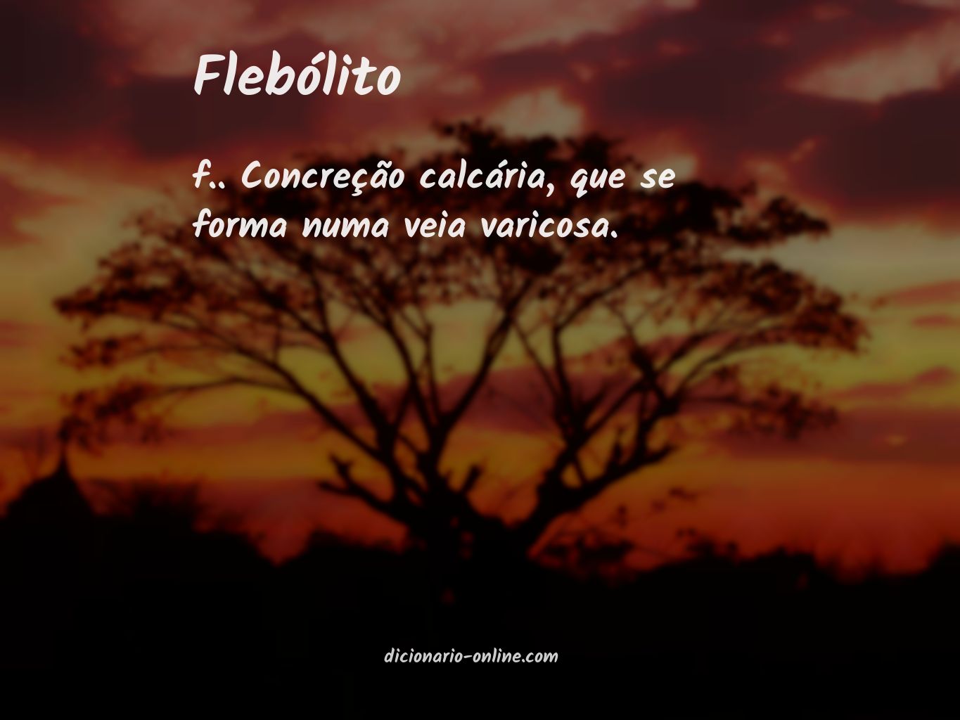 Significado de flebólito