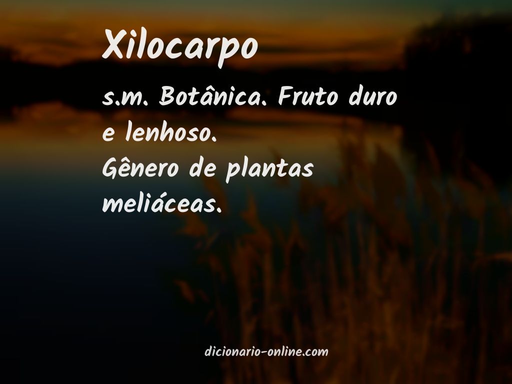 Significado de xilocarpo