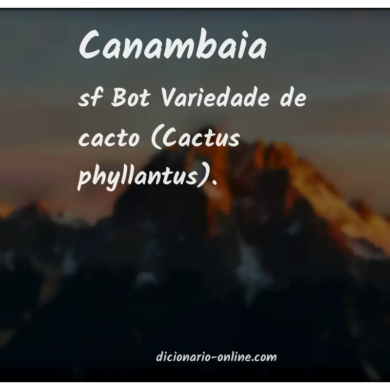 Significado de canambaia