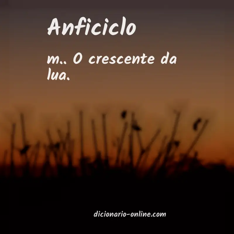 Significado de anficiclo