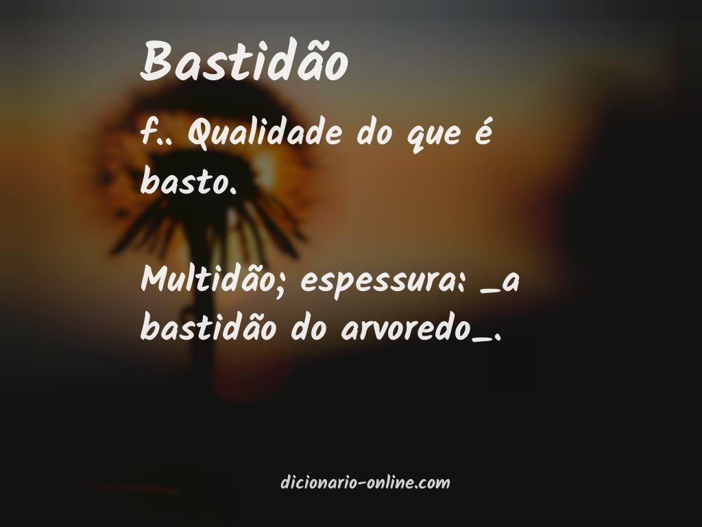 Significado de bastidão