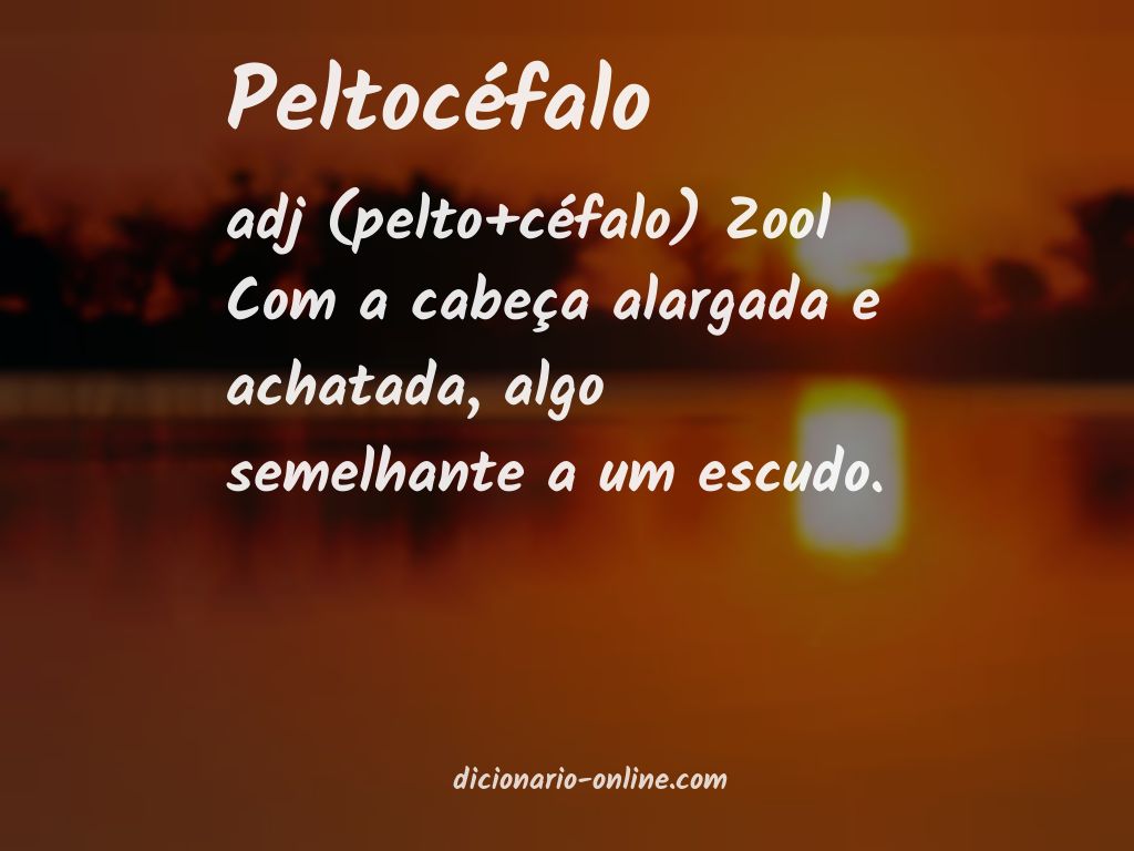 Significado de peltocéfalo