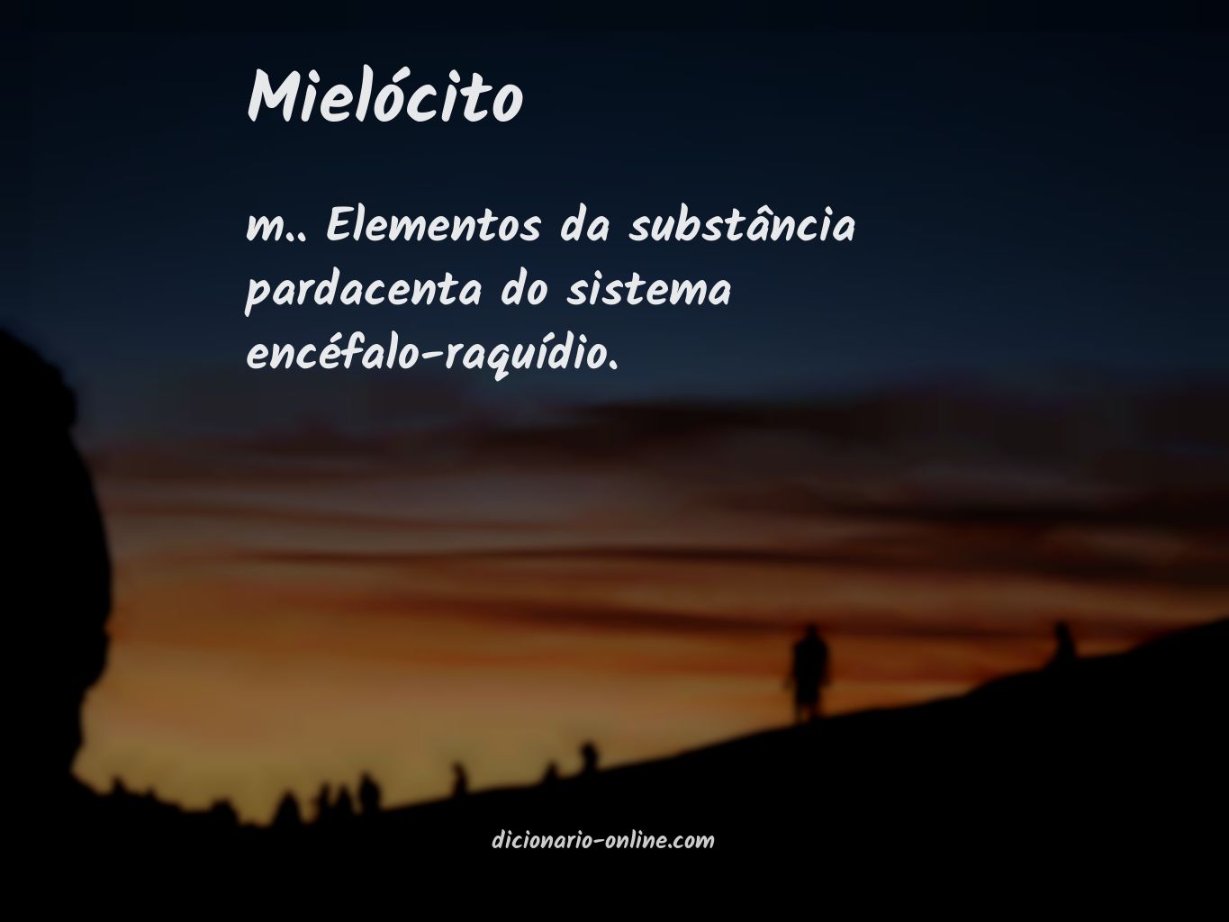 Significado de mielócito