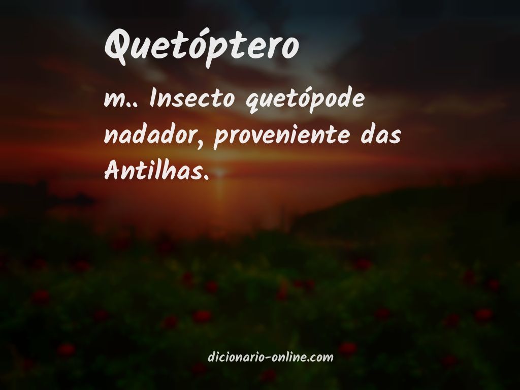 Significado de quetóptero