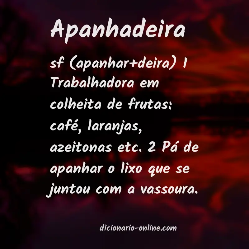Significado de apanhadeira