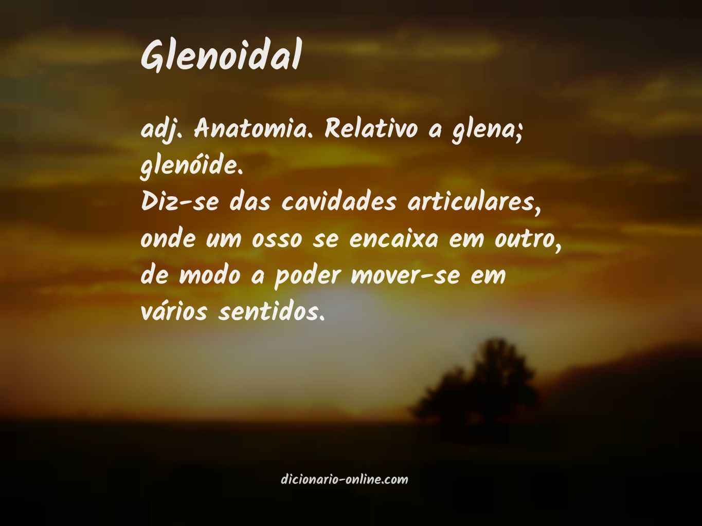 Significado de glenoidal