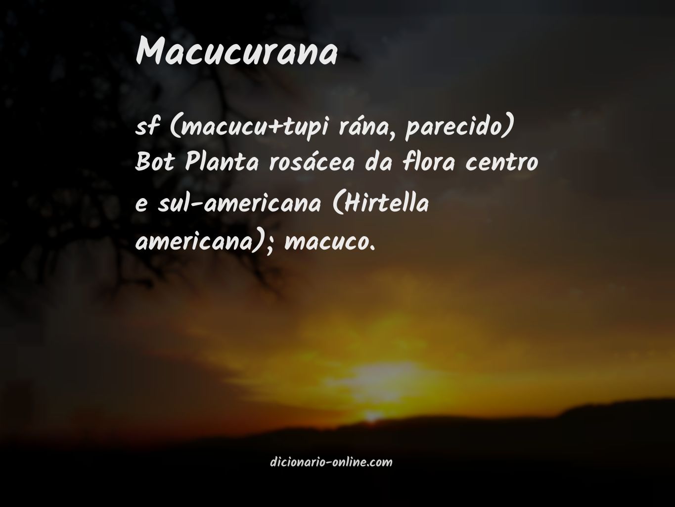 Significado de macucurana