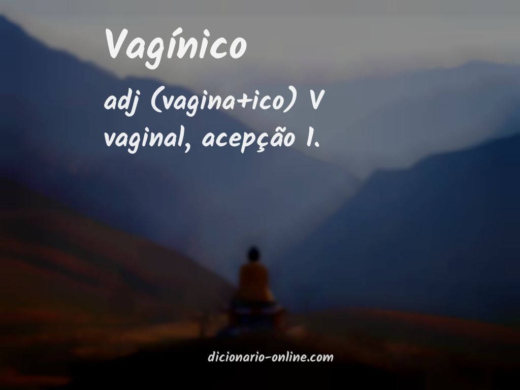 Significado de vagínico