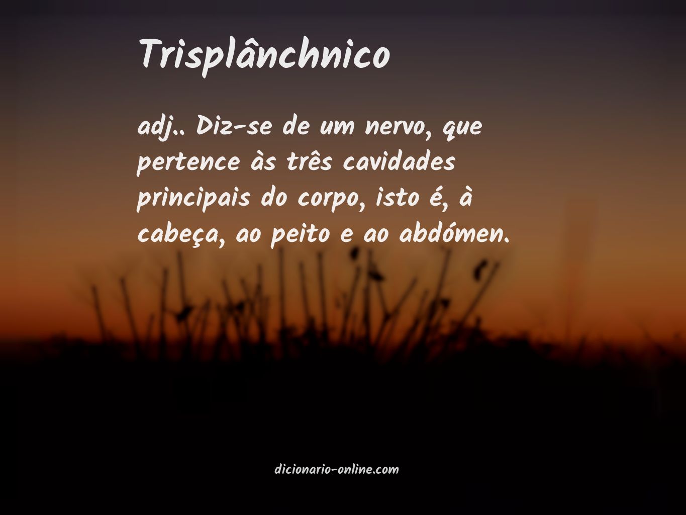 Significado de trisplânchnico