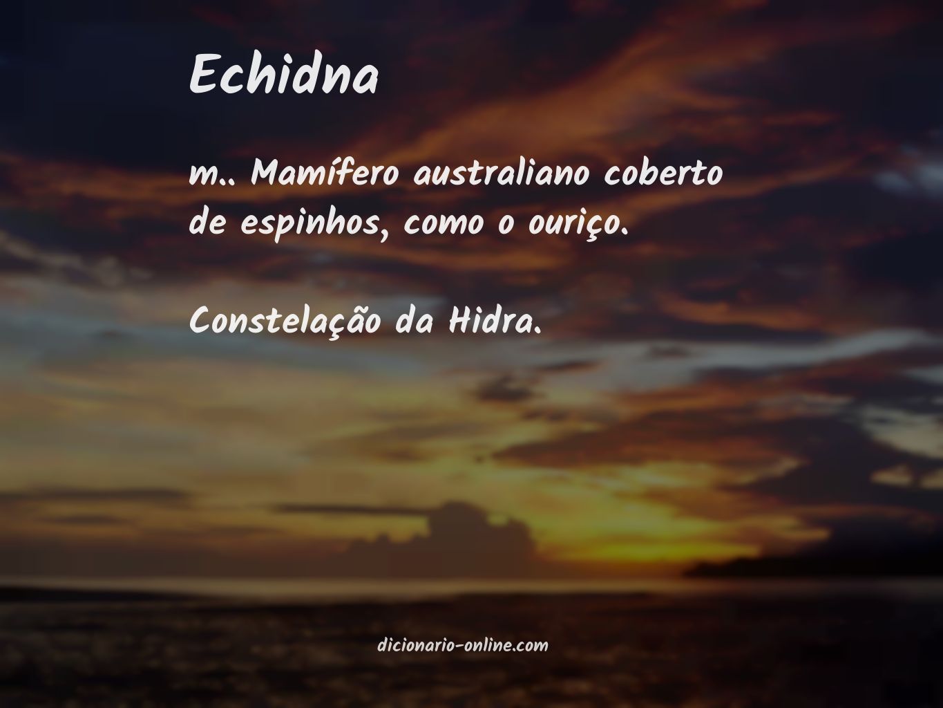 Significado de echidna