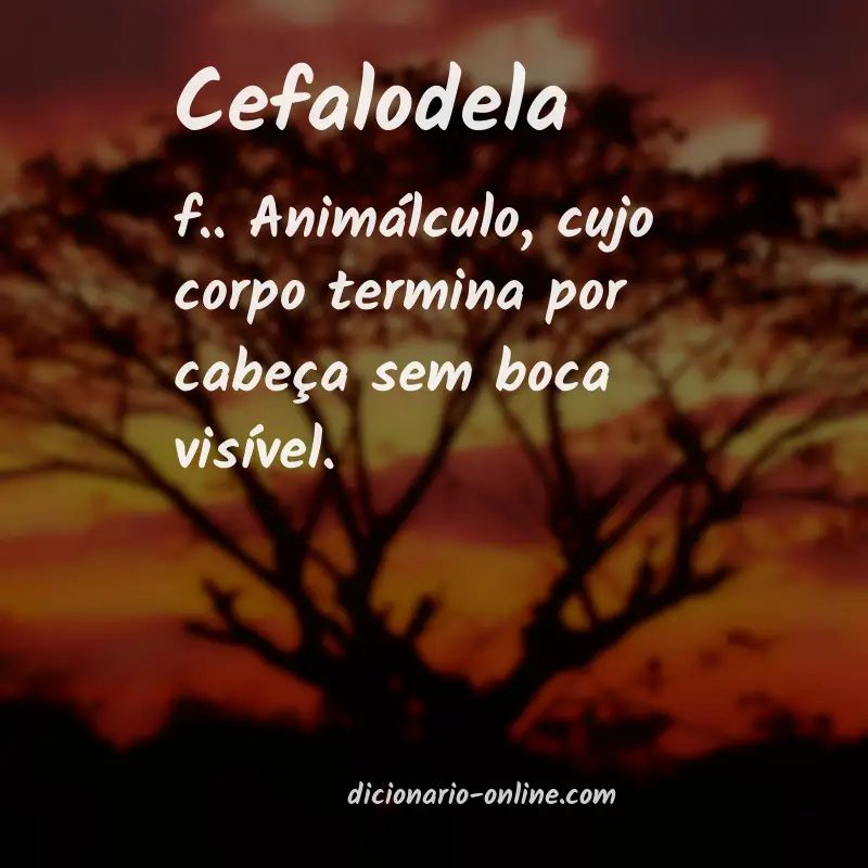 Significado de cefalodela