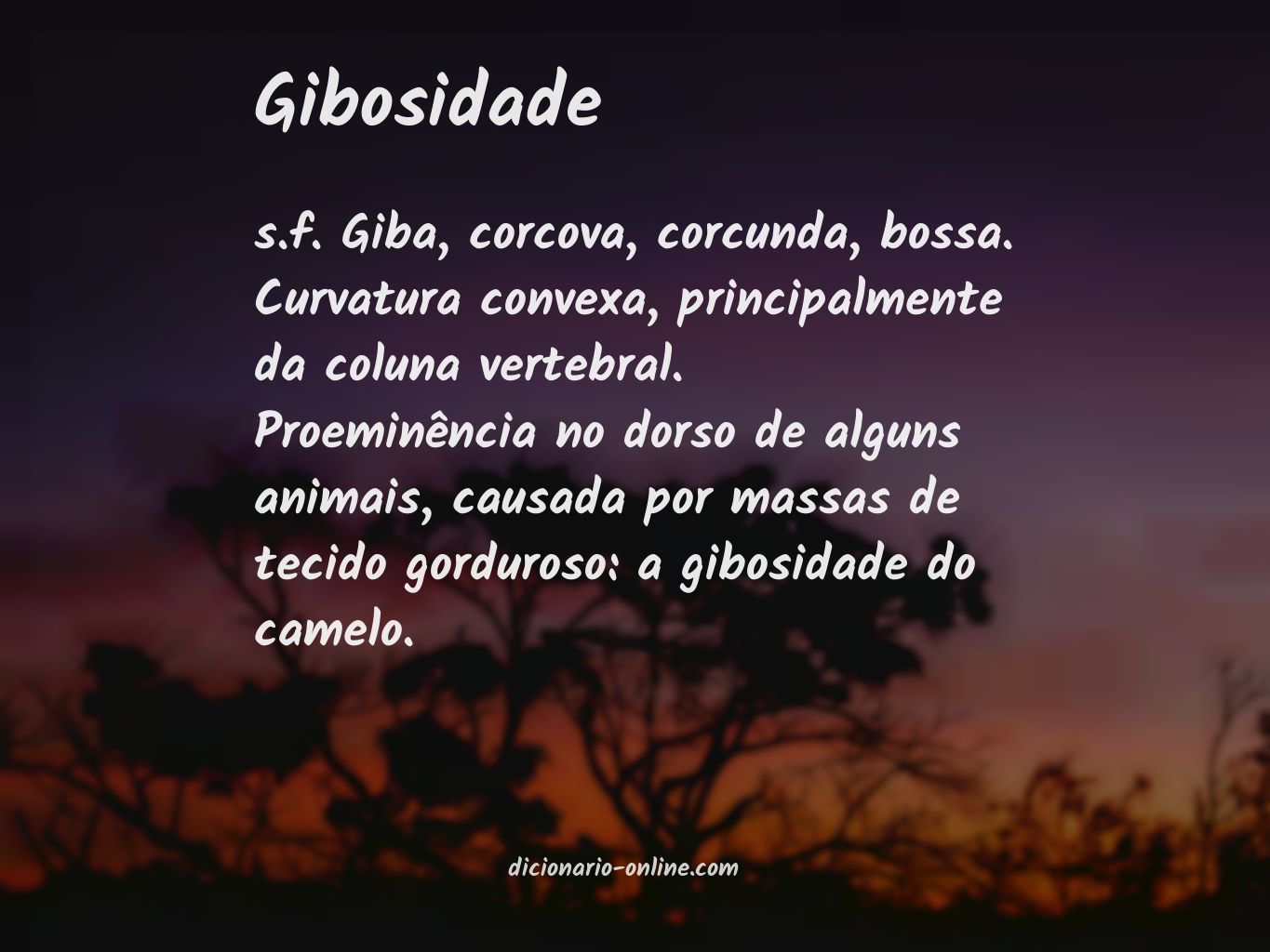 Significado de gibosidade