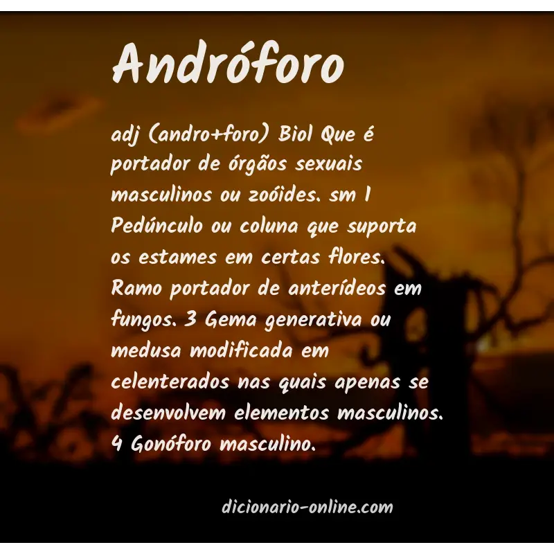 Significado de andróforo