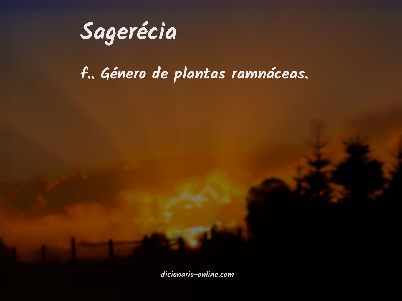 Significado de sagerécia